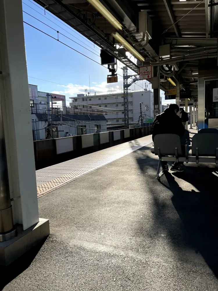 2026年1月10日の写真