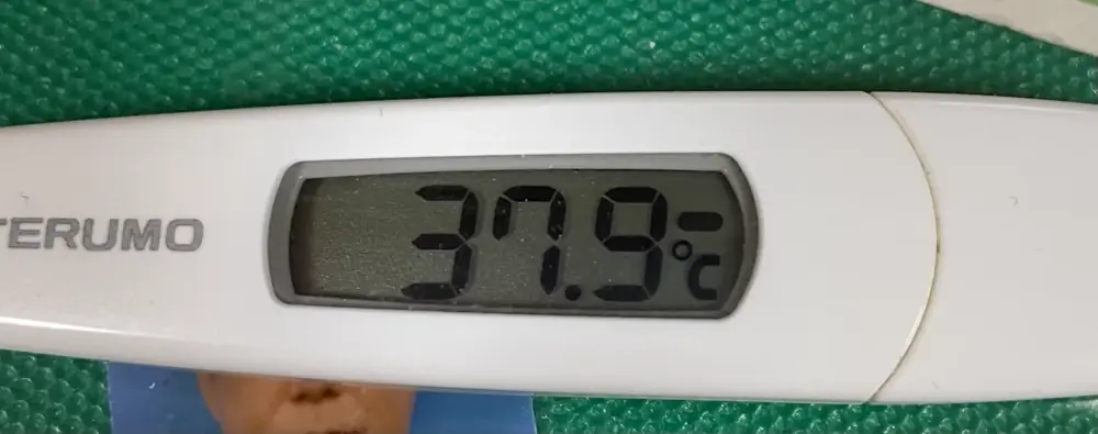 2026年2月8日の写真