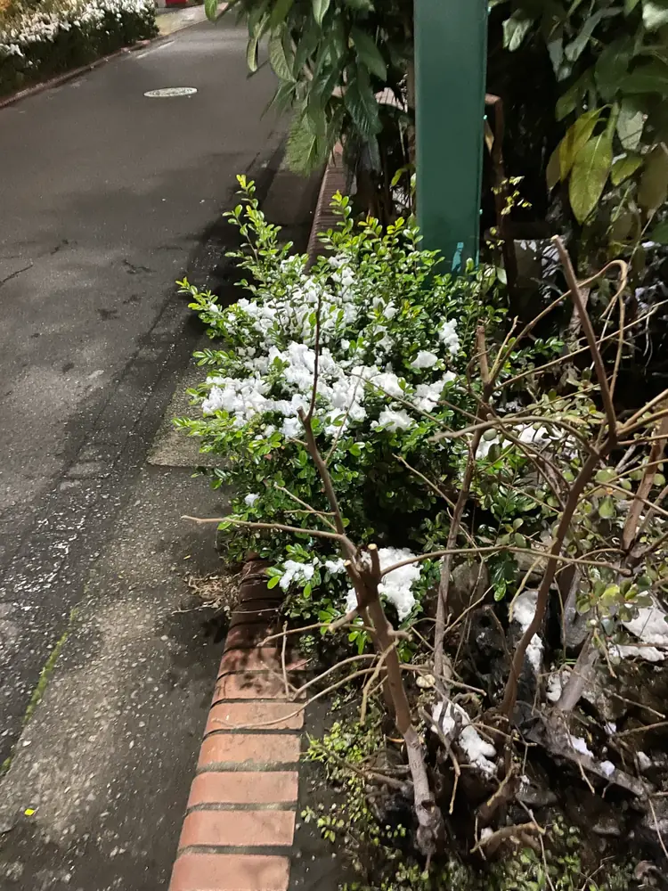 2026年2月8日の写真