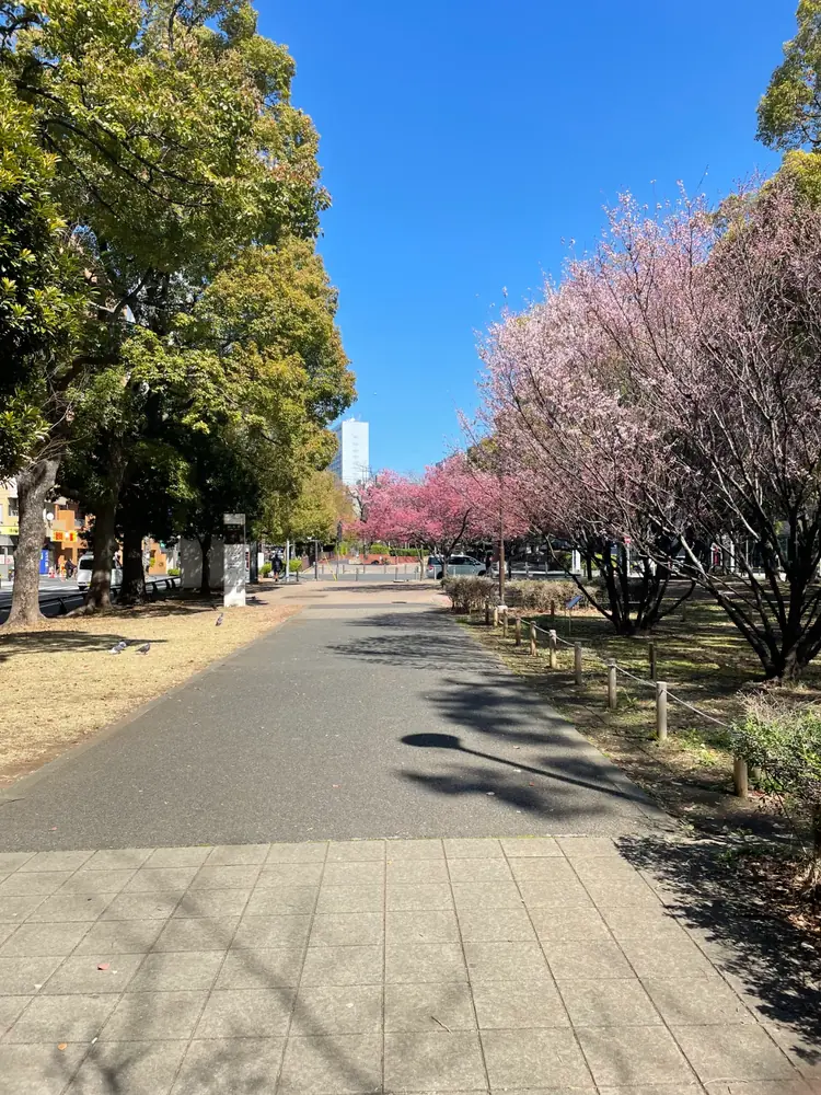 2026年3月12日の写真