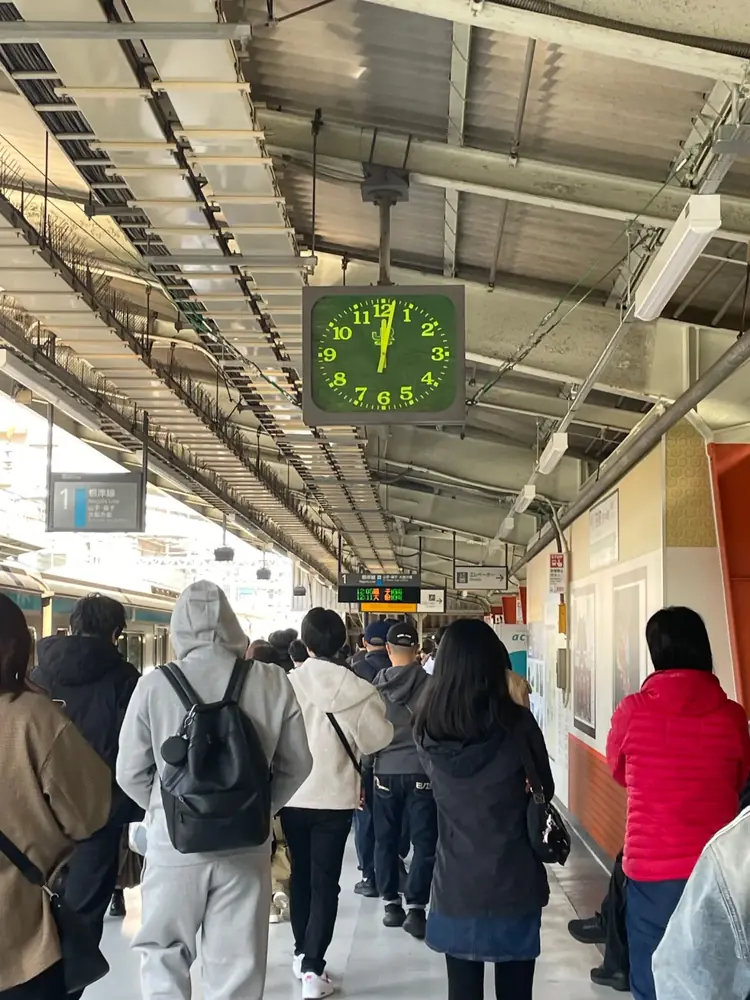 2026年3月21日の写真