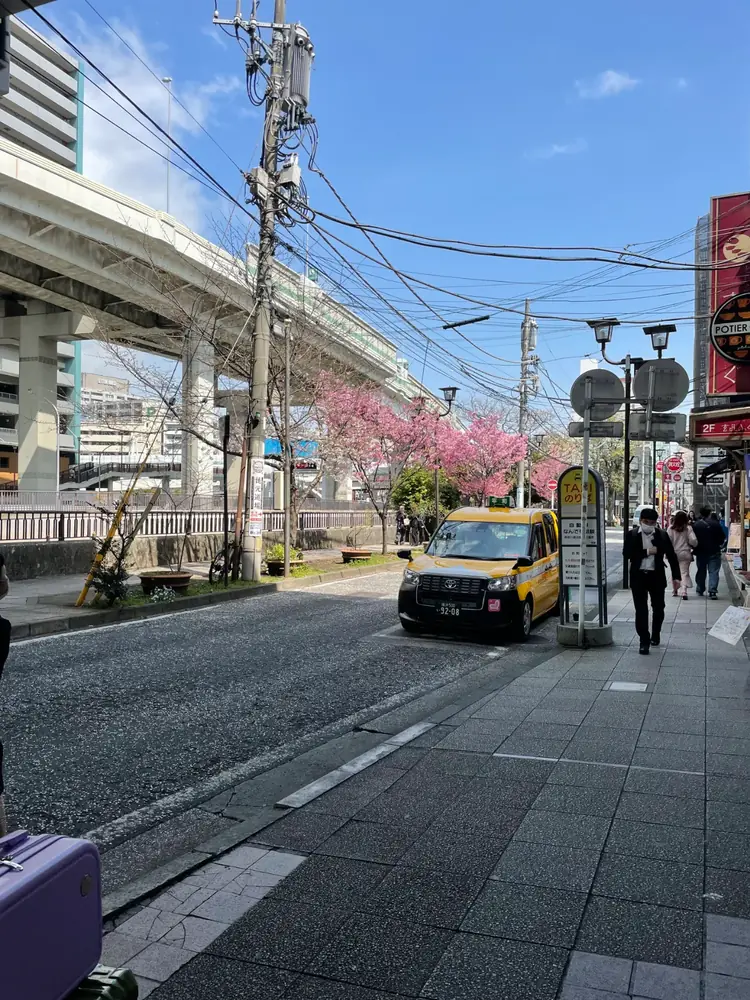 2026年3月27日の写真
