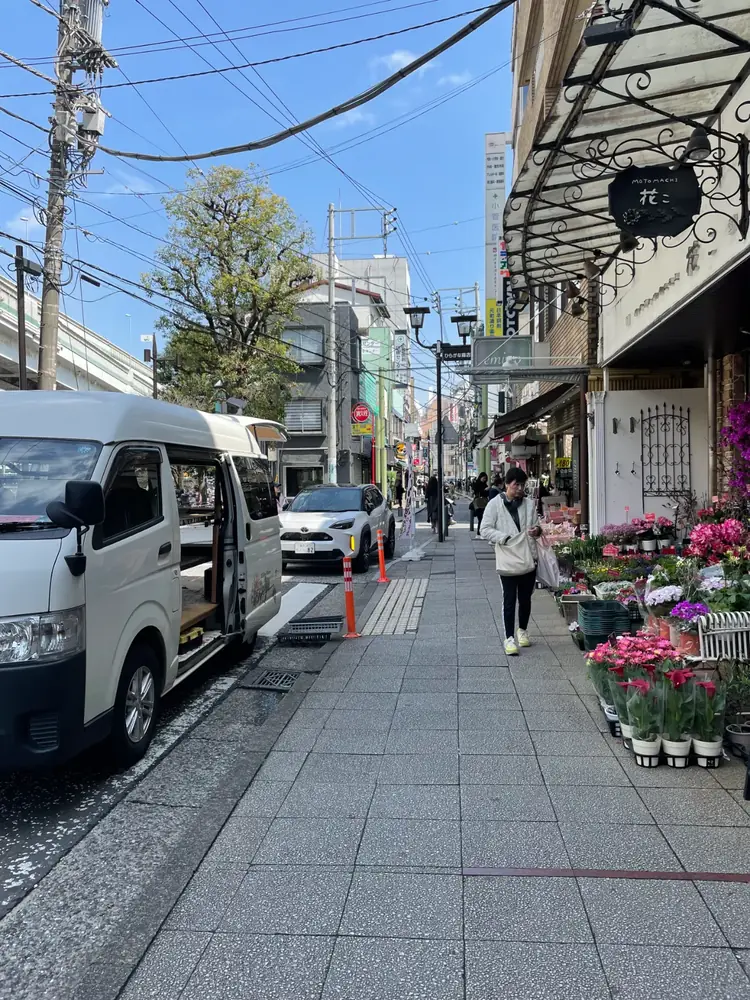 2026年3月27日の写真