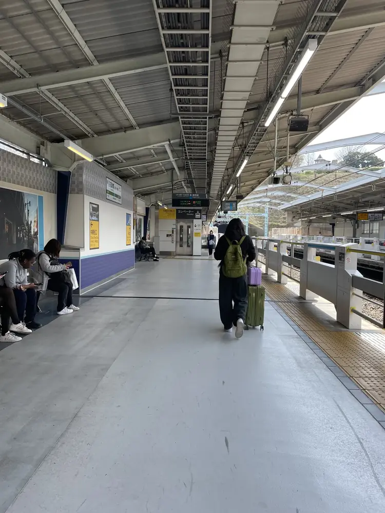 2026年3月27日の写真