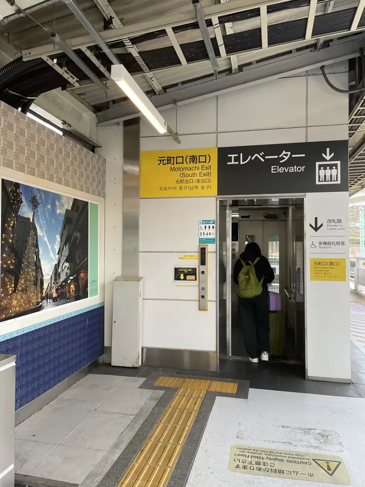 2026年3月27日の写真