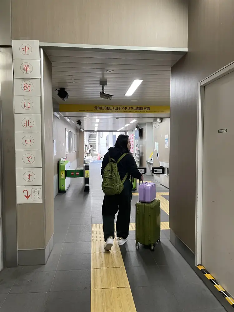 2026年3月27日の写真