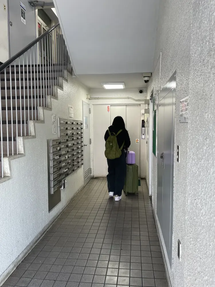 2026年3月27日の写真
