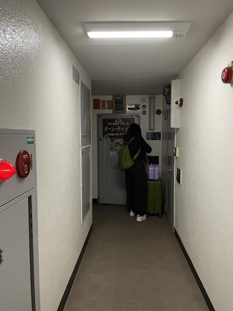 2026年3月27日の写真