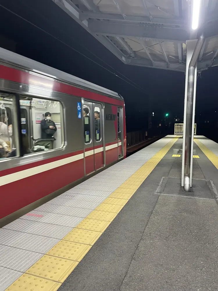 2026年3月28日の写真