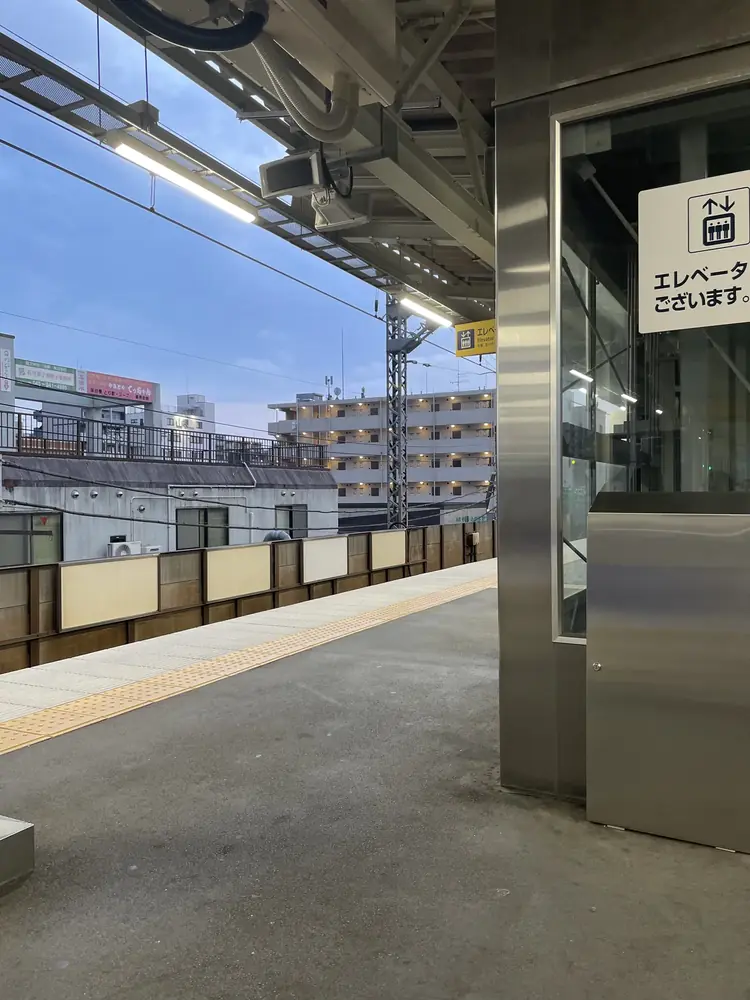 2026年3月28日の写真
