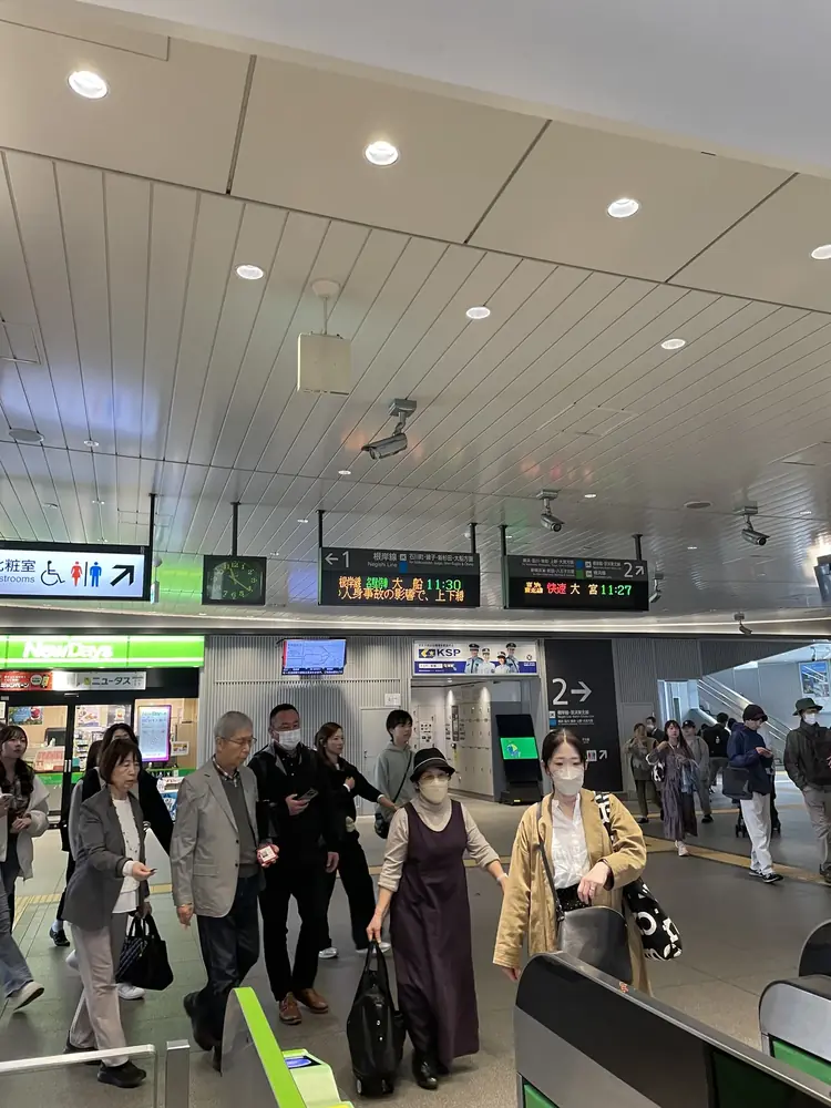 2026年3月30日の写真