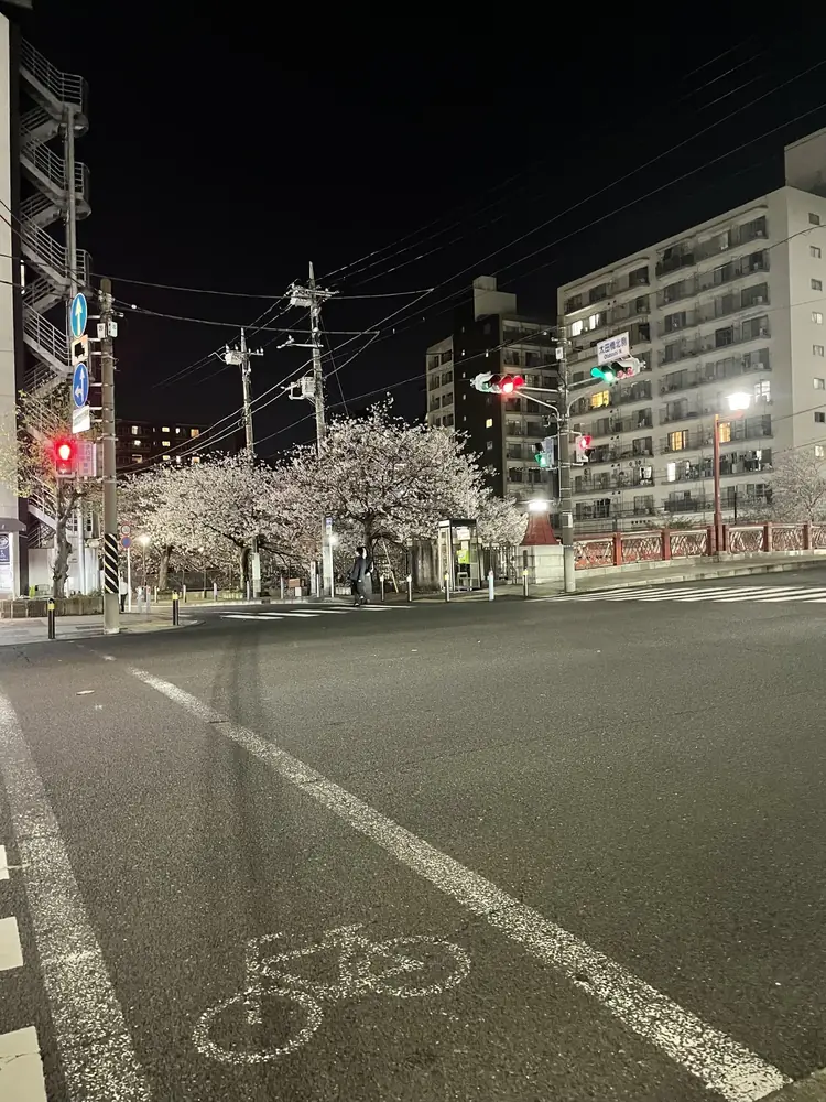 2026年4月3日の写真