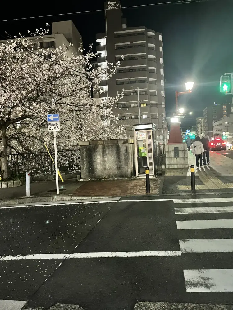 2026年4月3日の写真