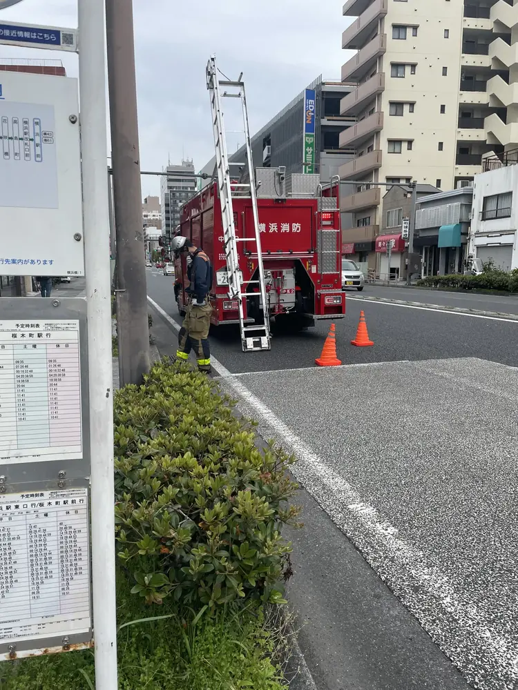 2026年4月6日の写真