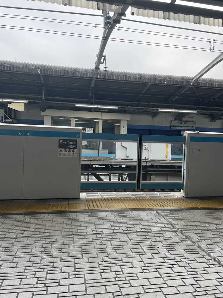 2026年4月6日の写真