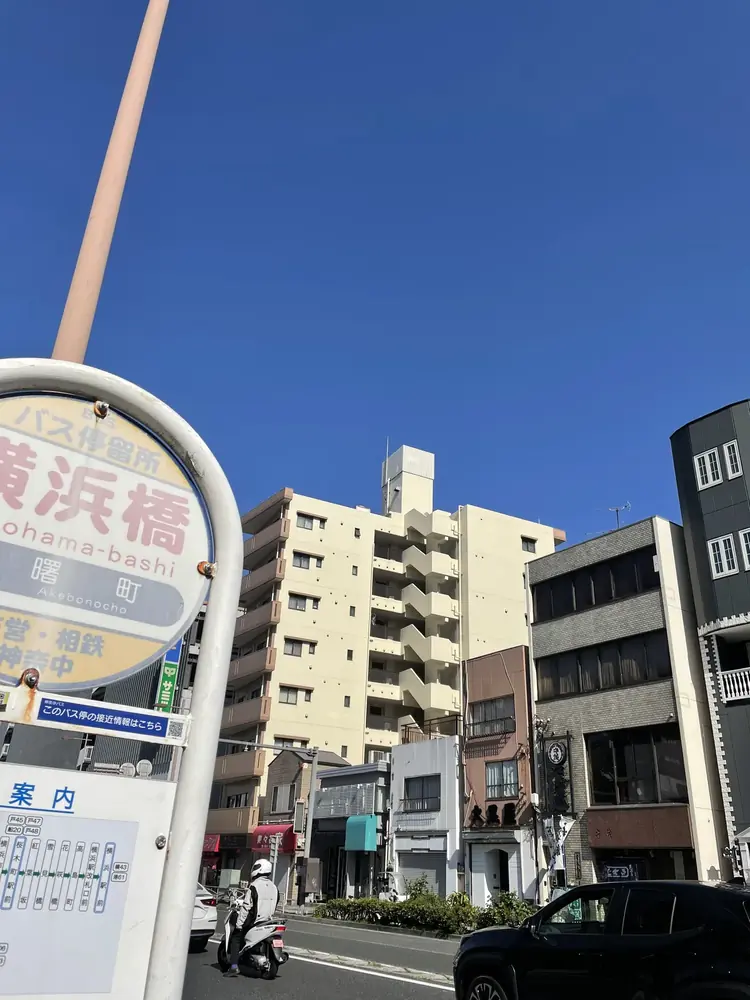 2026年4月8日の写真