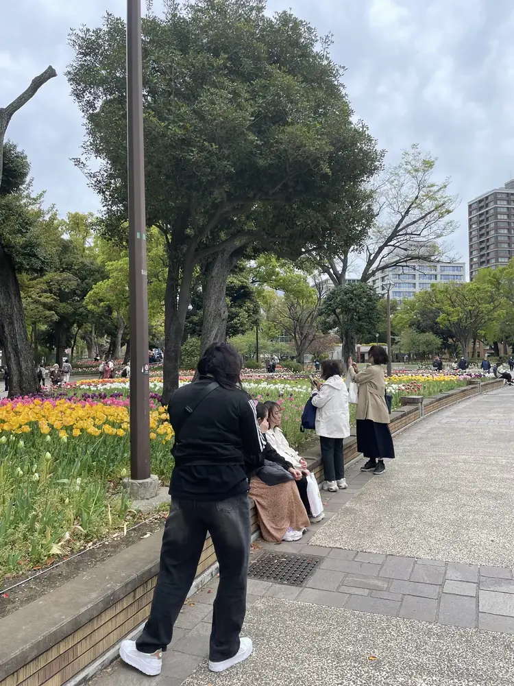 2026年4月9日の写真
