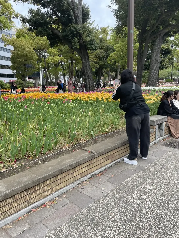 2026年4月9日の写真