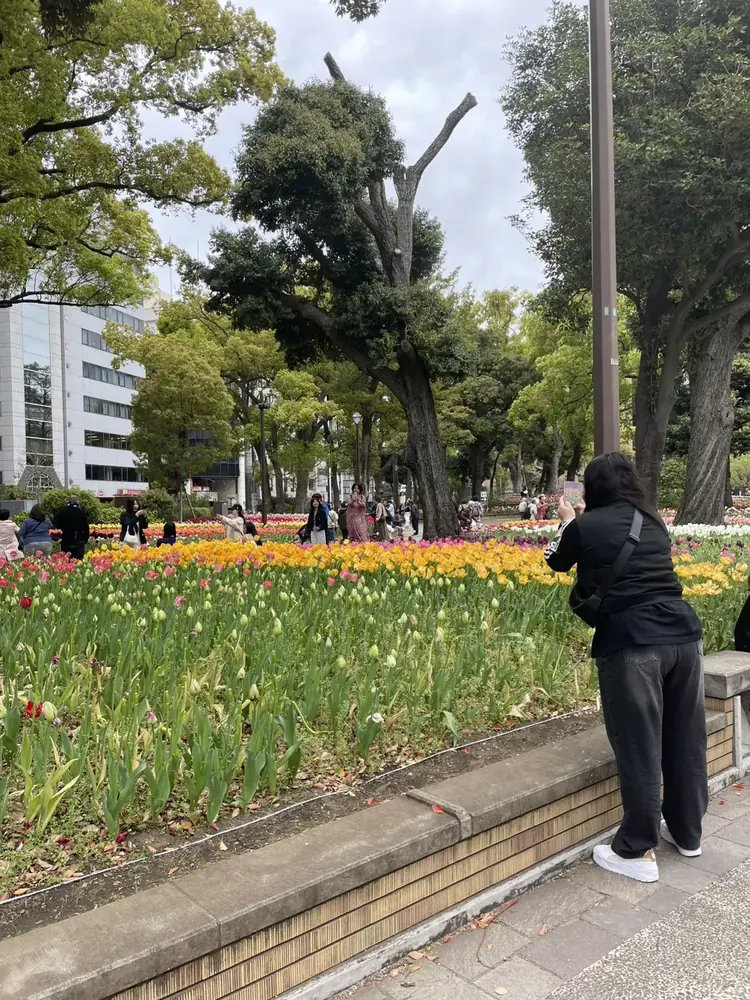 2026年4月9日の写真