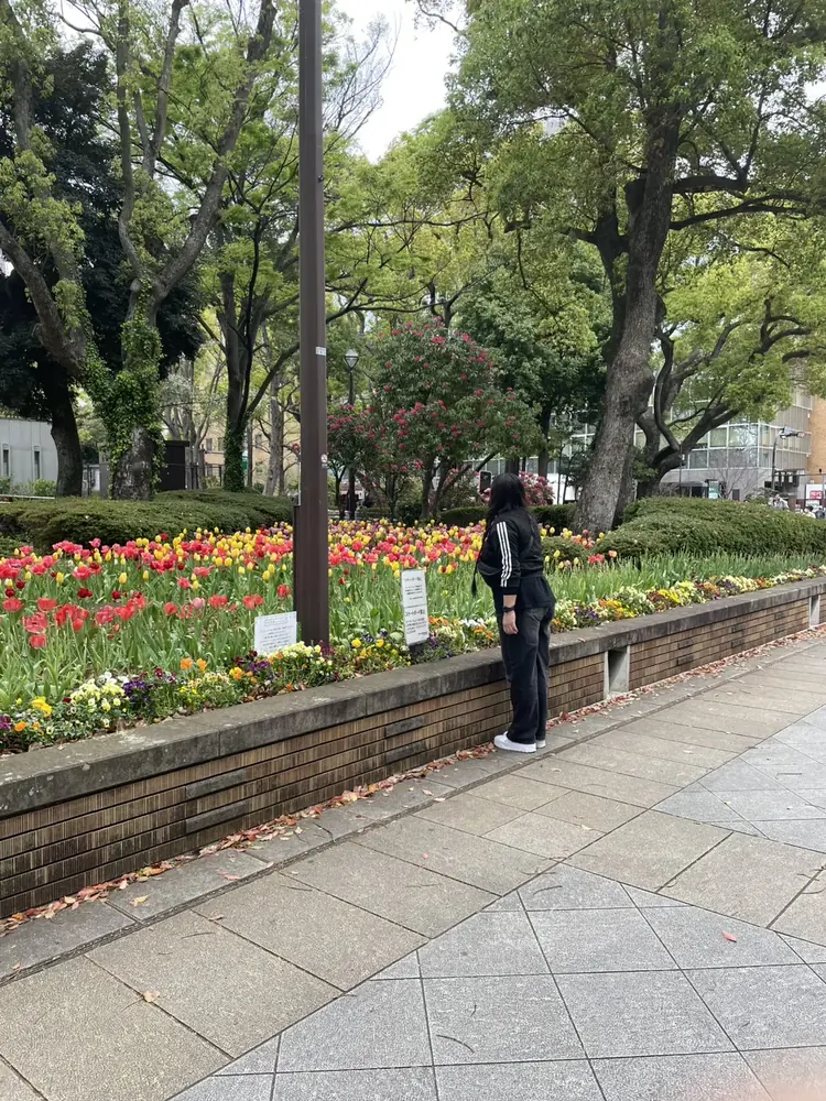 2026年4月9日の写真