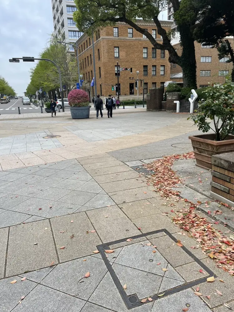 2026年4月9日の写真