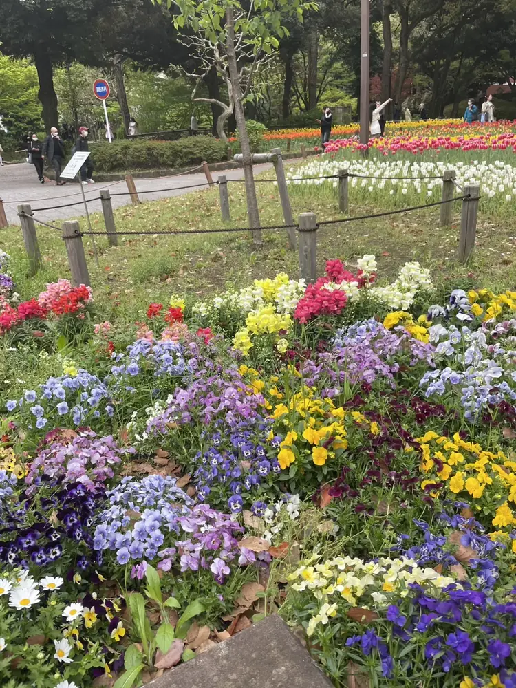 2026年4月9日の写真