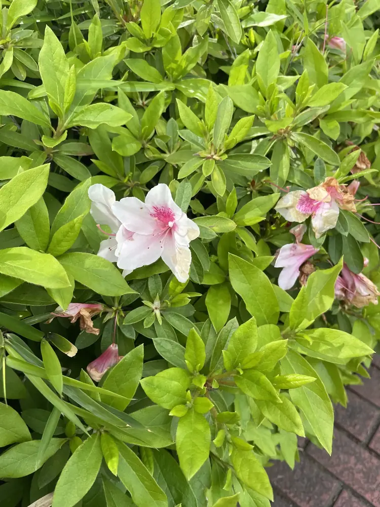 2026年4月28日の写真
