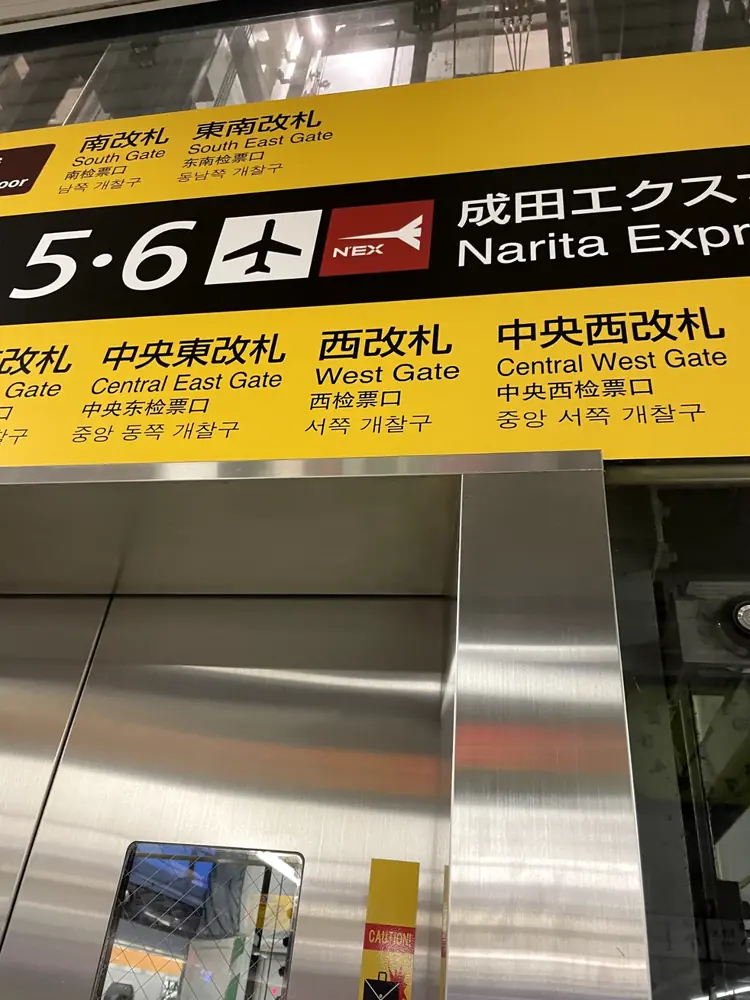 2026年4月29日の写真