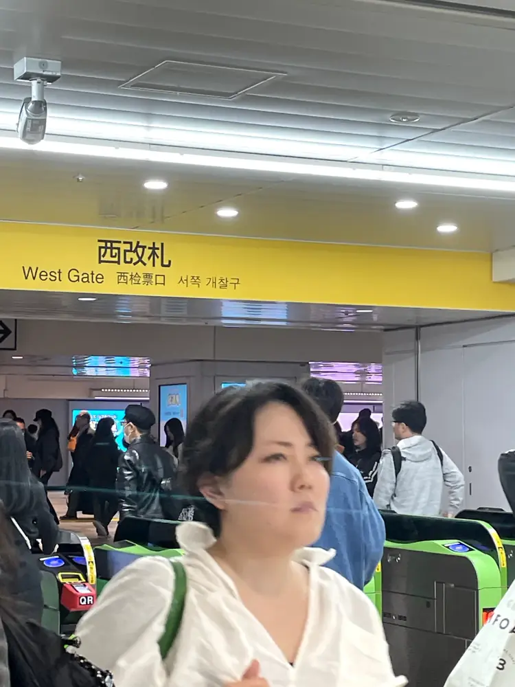 2026年4月29日の写真