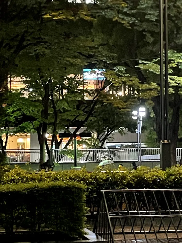 2026年4月29日の写真