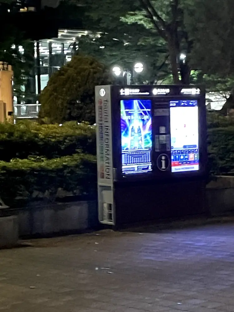 2026年4月29日の写真