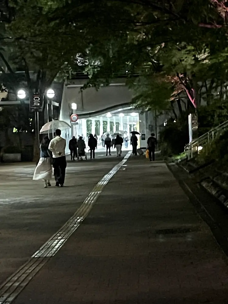 2026年4月29日の写真