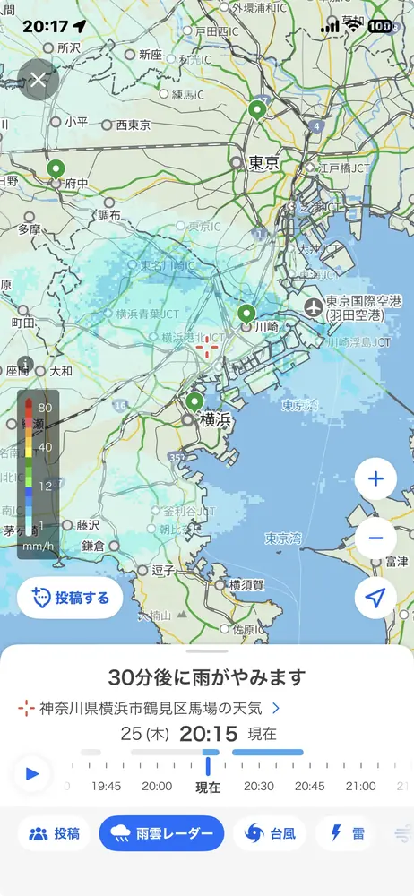 2026年6月25日の写真
