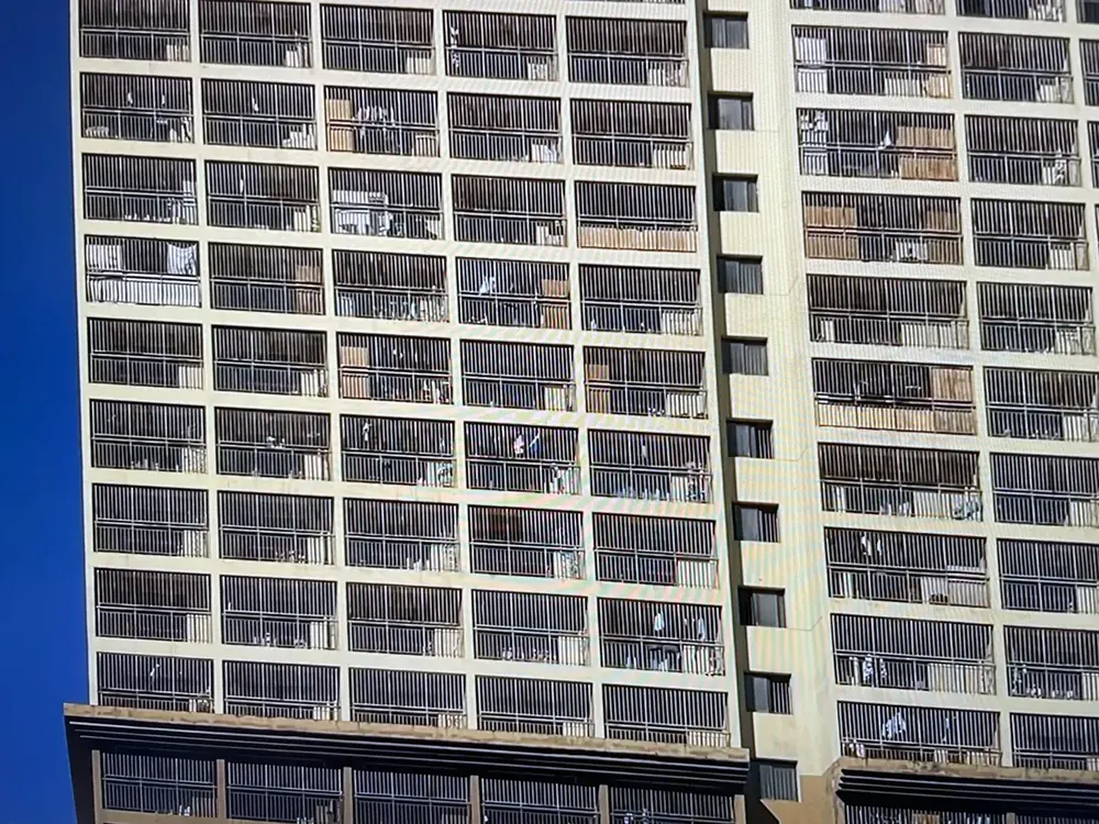 2026年7月6日の写真