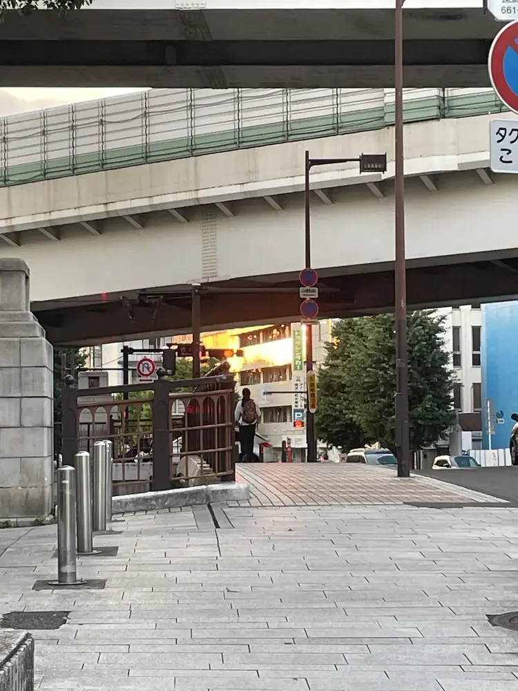 2026年7月8日の写真