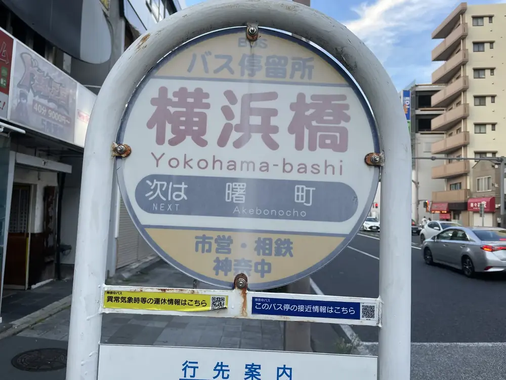 2026年7月11日の写真