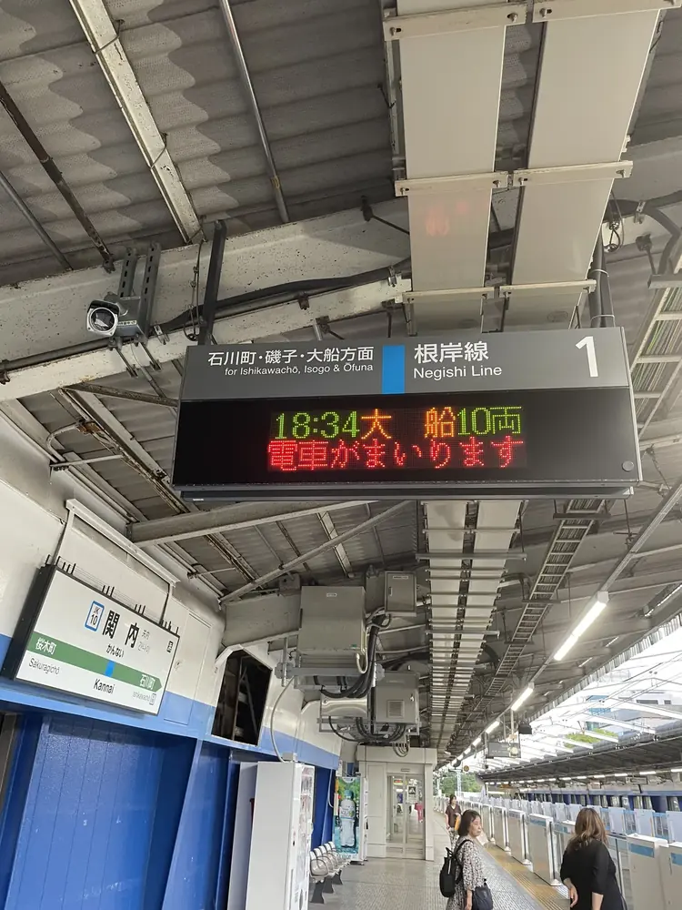 2026年7月11日の写真