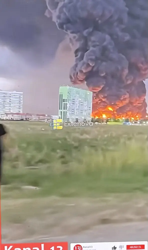 2026年7月24日の写真